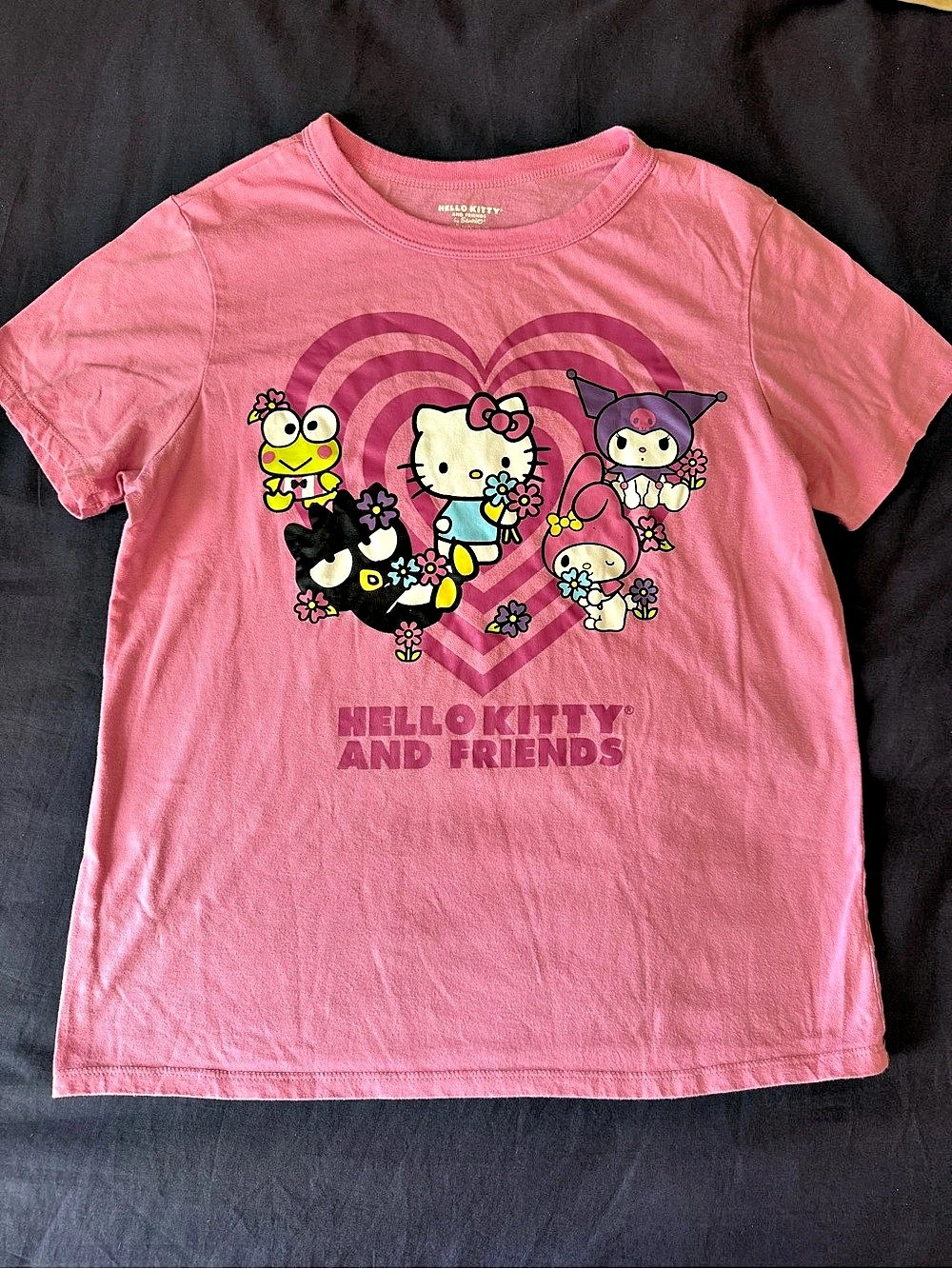 Sanrio Hello Kitty and Friends Hybrid Apparel T-Shirt Graphic Tee Pink Size